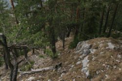 2011-04-24_Regina-F-Rau_Brunnstein-Spitze (048).JPG